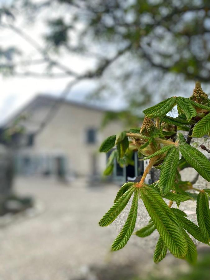 Figtrees Acomodação com café da manhã Margueron Exterior foto